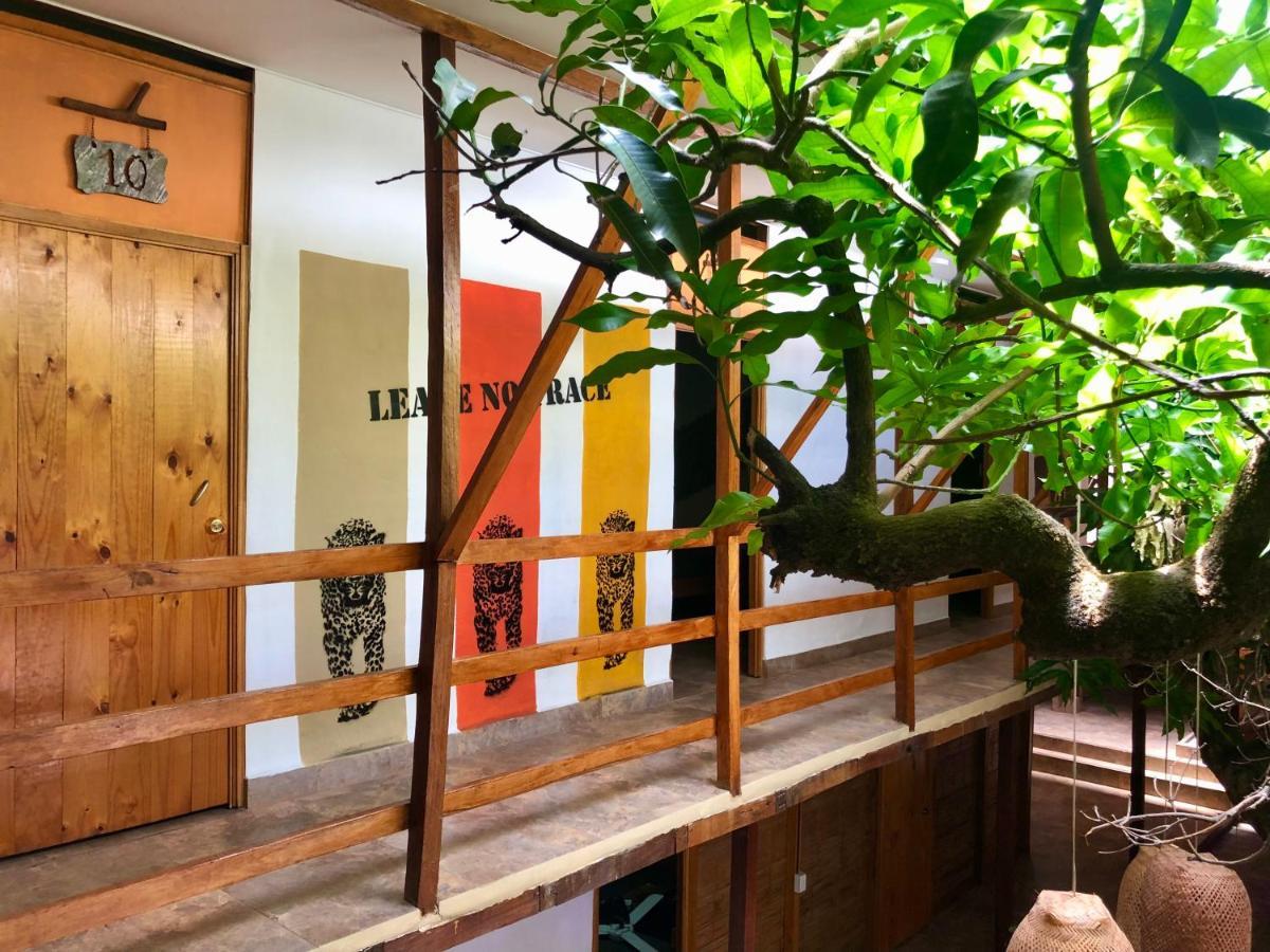 Refugio Del Jaguar Hotel